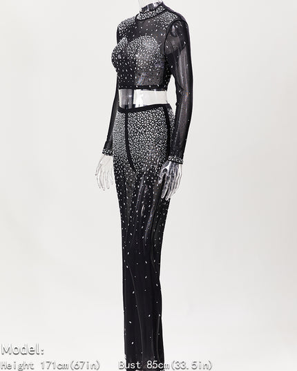 Photo Op Sheer Rhinestone Crop Top and Pants Set