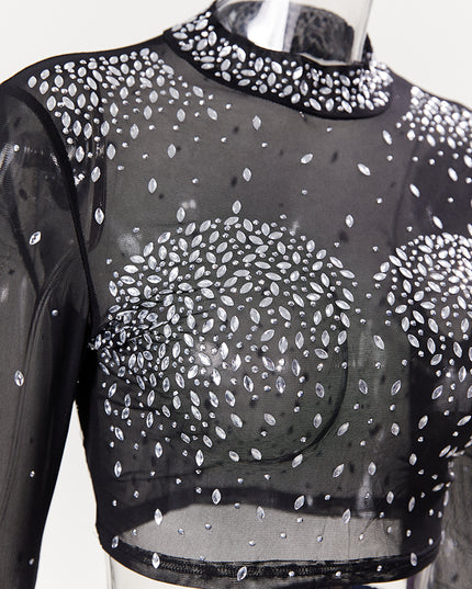 Photo Op Sheer Rhinestone Crop Top and Pants Set