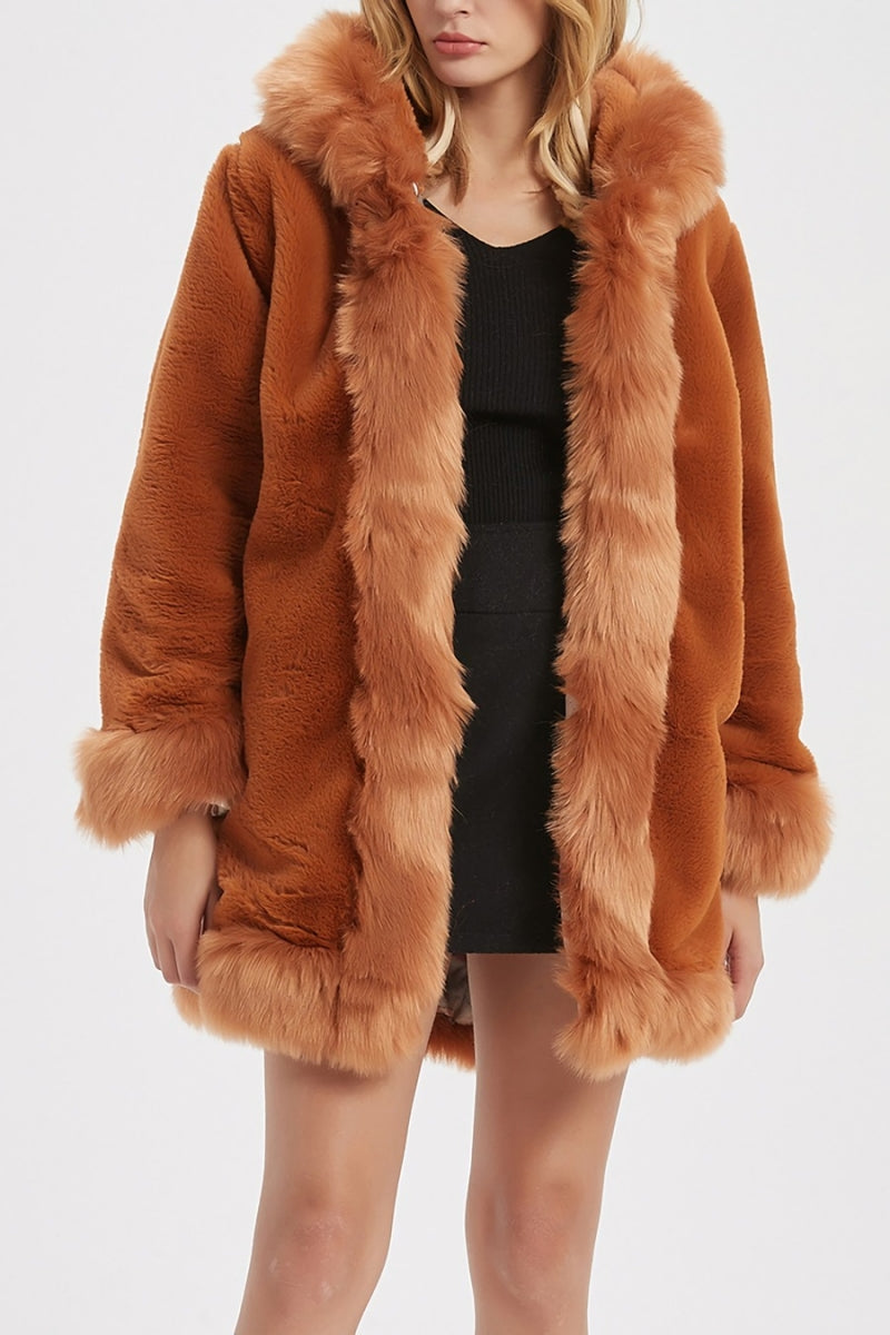 Hooded Plush Fur Coat With Lining