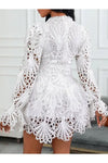 Elegant Dolly Lace Flared Mini dress - Dresses