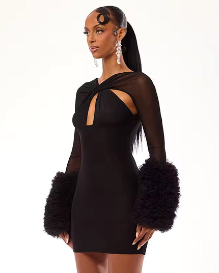 Mesh Hollow Out Bodycon Mini Dress with Mesh Cuffs